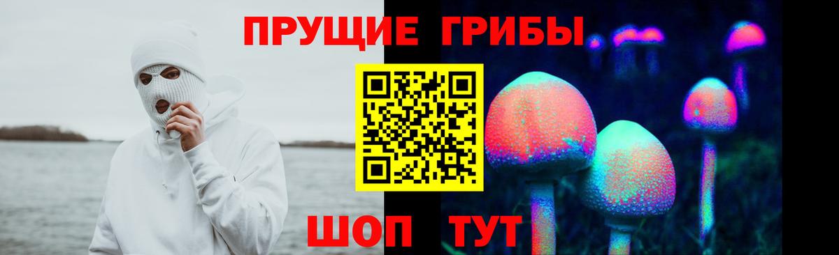 Галлюциногенные грибы мухоморы  Вход с VPN  Галлюциногенные грибы Cubensis  Анжеро-Судженск 